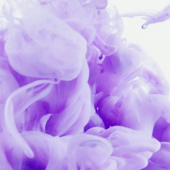 Meet your Posher, Calluna! - Picture 1 of 1